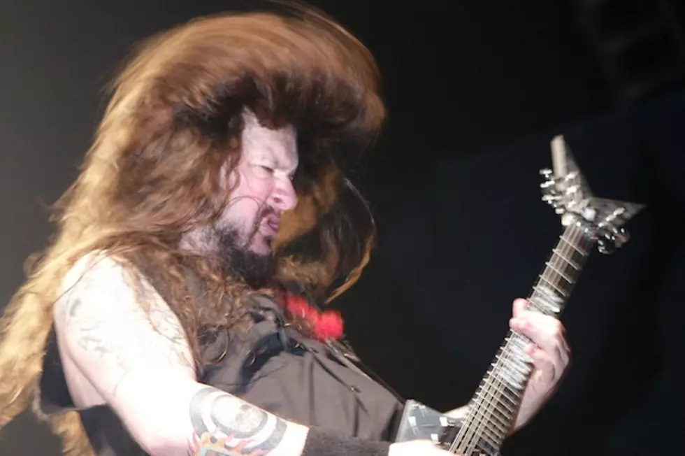Dimebag Darrell Axe Includes Inlay From Tree in Dime's Yard