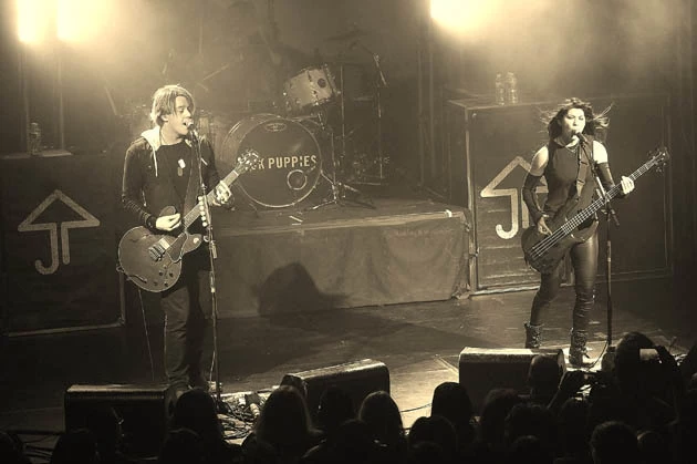 Sick Puppies (7)