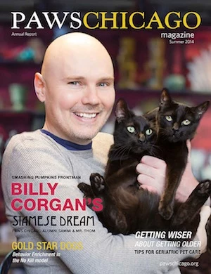 Billy Corgan Paws Chicago Billy Corgan Paws Chicago