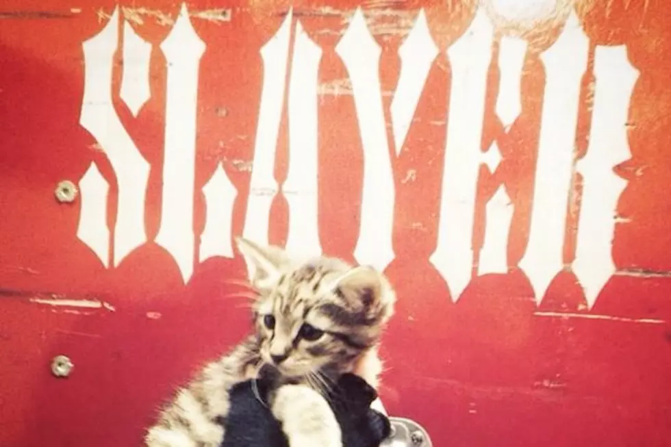 Slayer and Crew Rescue Freezing Little Kitten
