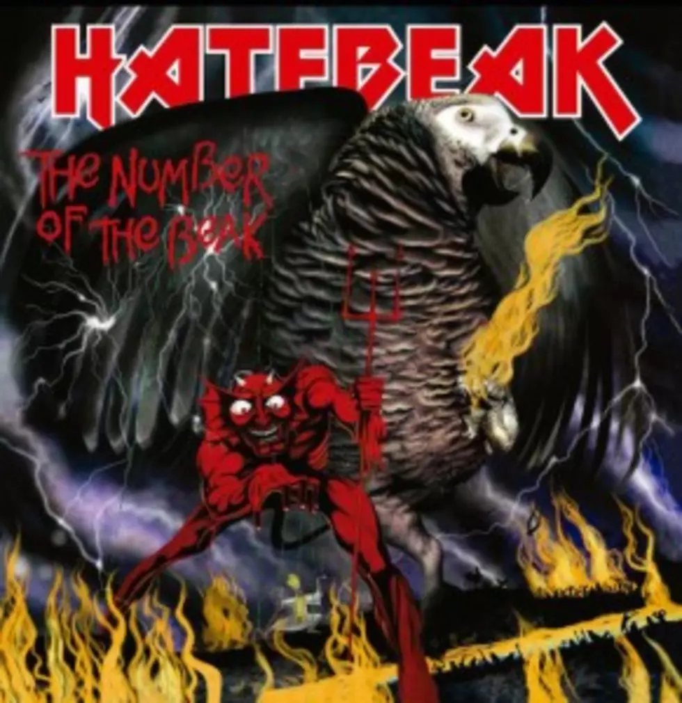 Parrot-Fronted Death Metal Band Hatebeak to Release New Album