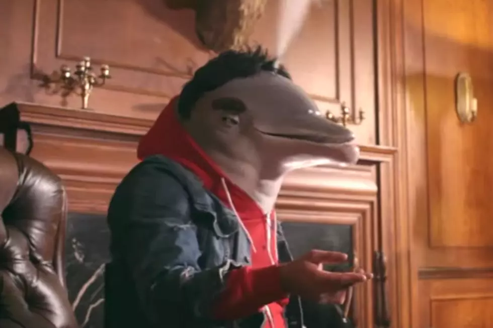 Intronaut Unveil a Stoned and Drunken Dolphin for ‘Fast Worms’ Video